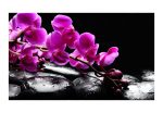 Fototapeta – Relaxační moment: orchidej květ a kameny Fototapeta – Relaxační moment: orchidej květ a kameny