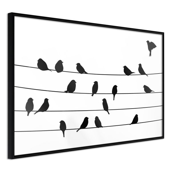 Birds on a Wire Birds on a Wire
