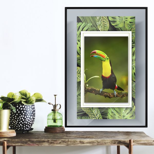 Toucan in the Frame Toucan in the Frame