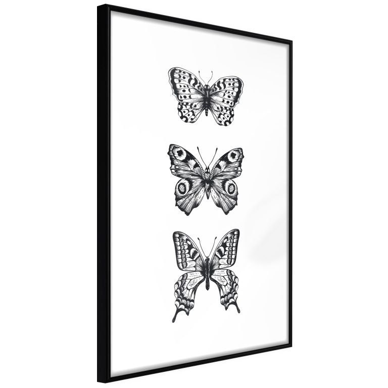 Butterfly Collection III Butterfly Collection III