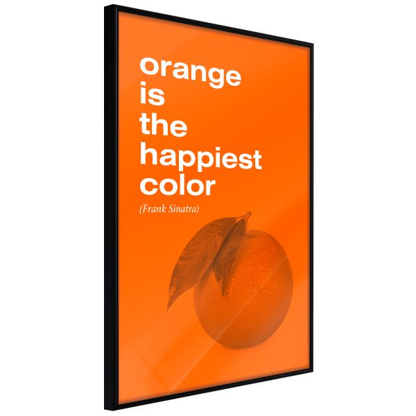 Orange Colour Orange Colour