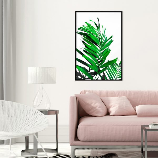 Emerald Palm Emerald Palm