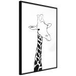 Black and White Giraffe Black and White Giraffe