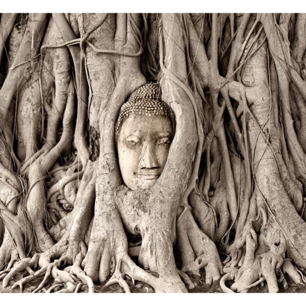 Fototapeta – Buddha’s Tree Fototapeta – Buddha’s Tree