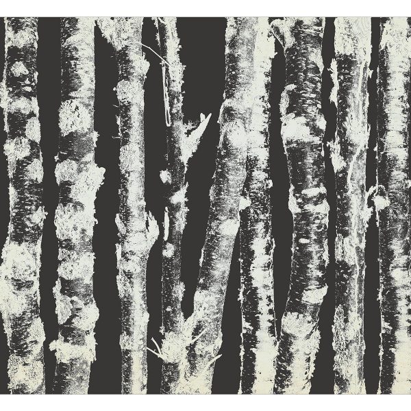 Fototapeta – Stately Birches – Second Variant Fototapeta – Stately Birches – Second Variant