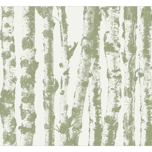 Fototapeta – Stately Birches – Third Variant Fototapeta – Stately Birches – Third Variant