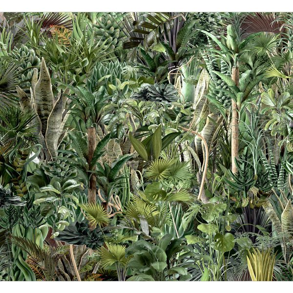 Fototapeta – Richness of Jungle Fototapeta – Richness of Jungle
