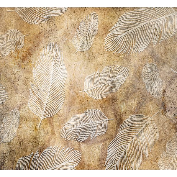 Fototapeta – Flying Feathers Fototapeta – Flying Feathers