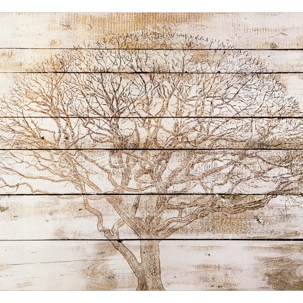 Samolepící fototapeta – Tree on Boards Samolepící fototapeta – Tree on Boards