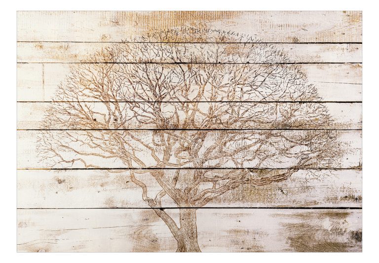 Samolepící fototapeta – Tree on Boards Samolepící fototapeta – Tree on Boards