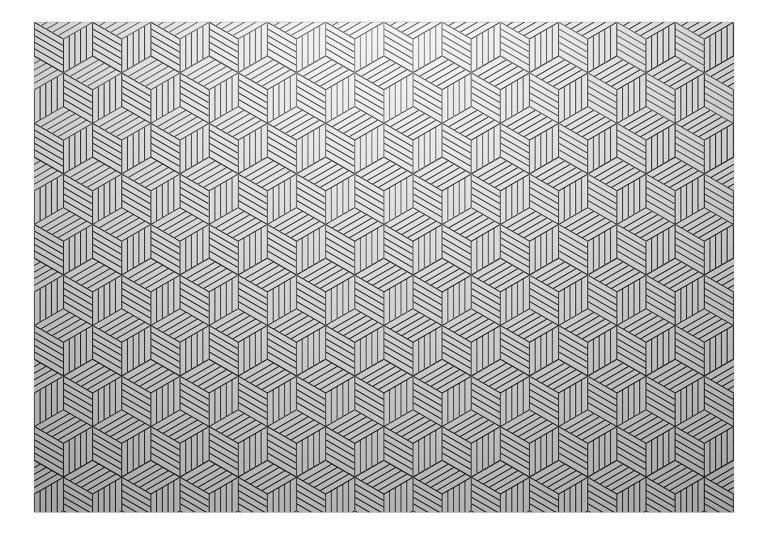 Samolepící fototapeta – Hexagons in Detail Samolepící fototapeta – Hexagons in Detail