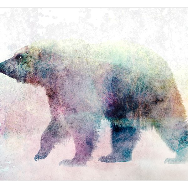 Samolepící fototapeta – Lonely Bear Samolepící fototapeta – Lonely Bear