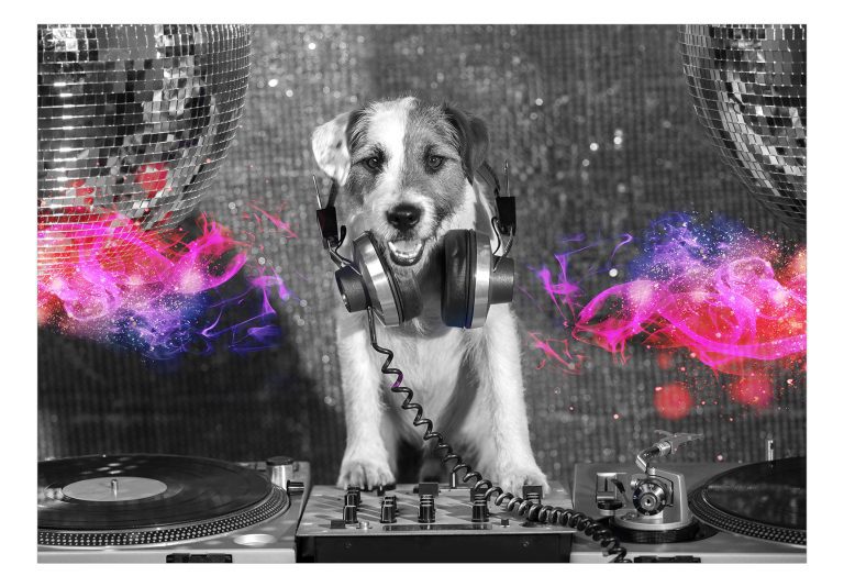 Samolepící fototapeta – DJ Dog Samolepící fototapeta – DJ Dog