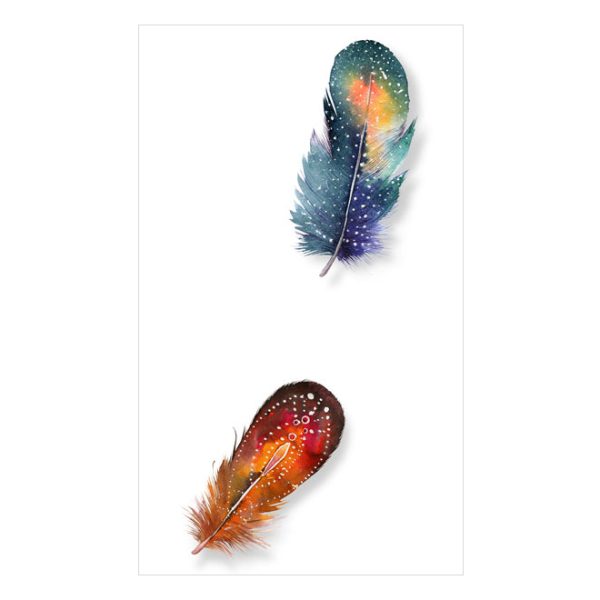 Fototapeta – Colorful Feathers Fototapeta – Colorful Feathers