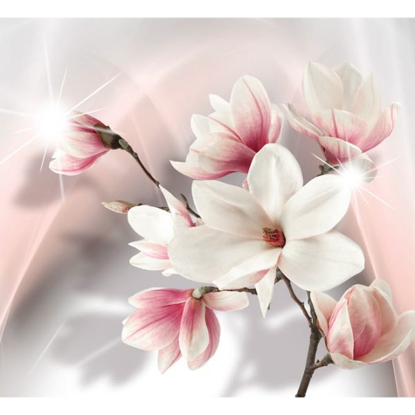 Fototapeta – White magnolias Fototapeta – White magnolias