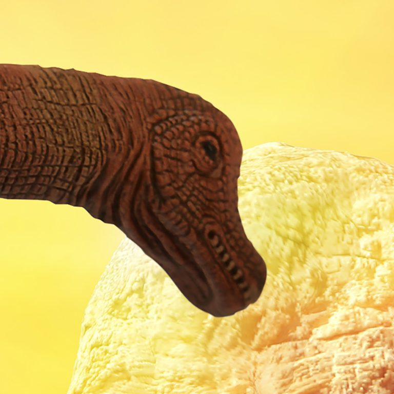 Tapeta Dinosauři Tapeta Dinosauři