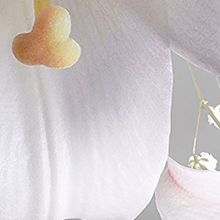 Tapeta 3D bílé lilie Tapeta 3D bílé lilie