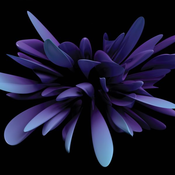 Tapeta Abstraktní tvar květu Tapeta Abstraktní tvar květu
