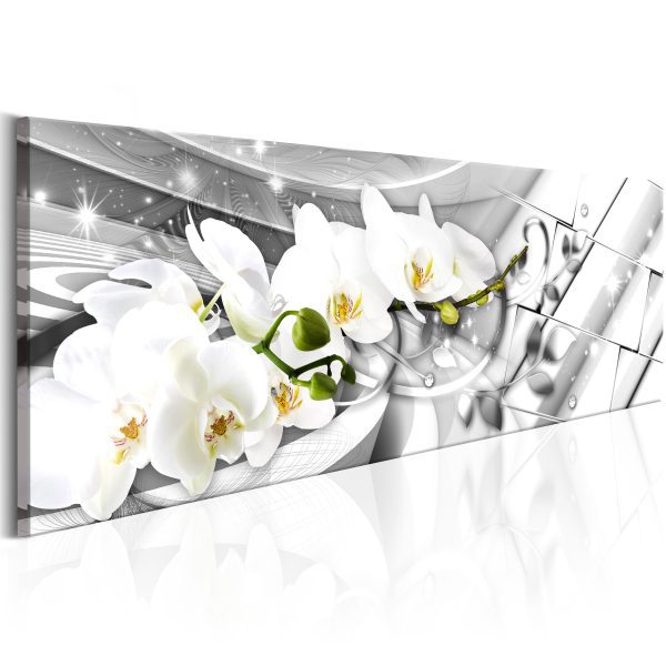 Obraz – Twisted Orchids Obraz – Twisted Orchids