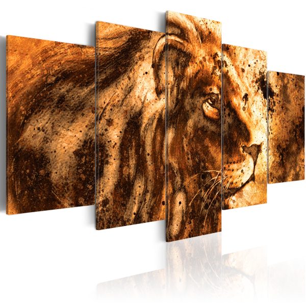 Obraz – Beautiful Lion Obraz – Beautiful Lion