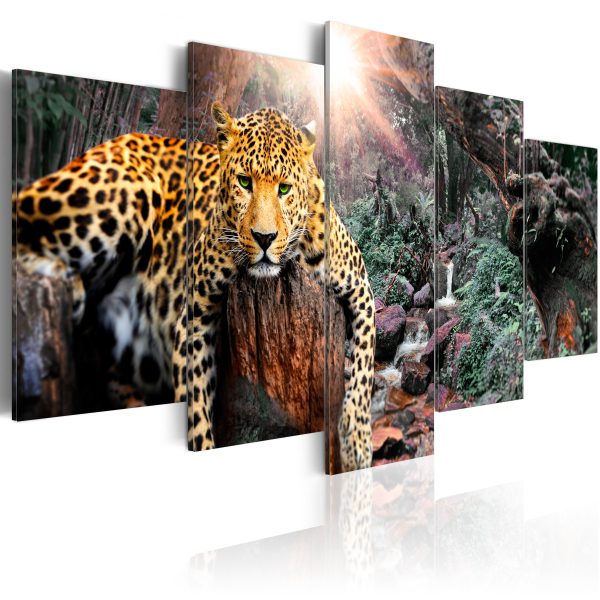 Obraz – Leopard Portrait (1 Part) Wide Obraz – Leopard Portrait (1 Part) Wide