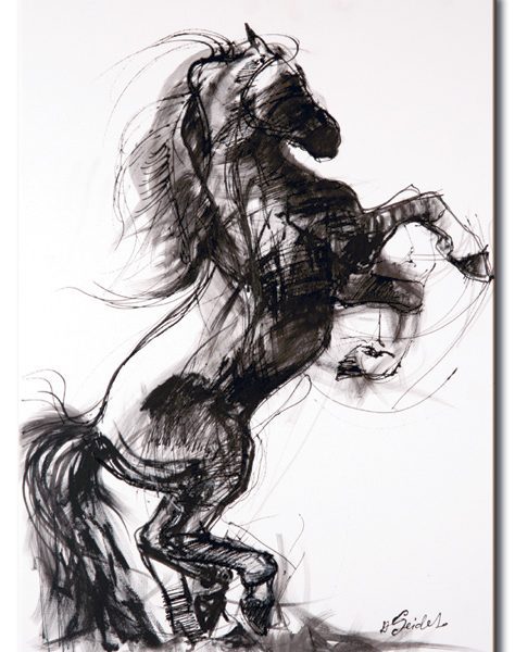 Obraz – stádo koní Obraz – stádo koní