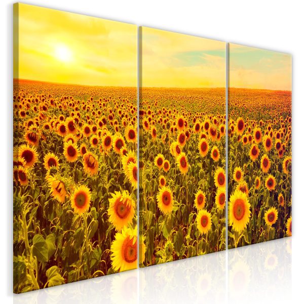 Obraz – Sunflowers at Sunset (3 Parts) Obraz – Sunflowers at Sunset (3 Parts)