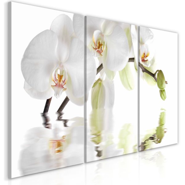 Obraz – Wonderful Orchid (3 Parts) Obraz – Wonderful Orchid (3 Parts)