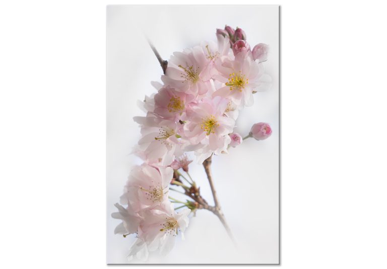Obraz – Spring in Japan (1 Part) Vertical Obraz – Spring in Japan (1 Part) Vertical