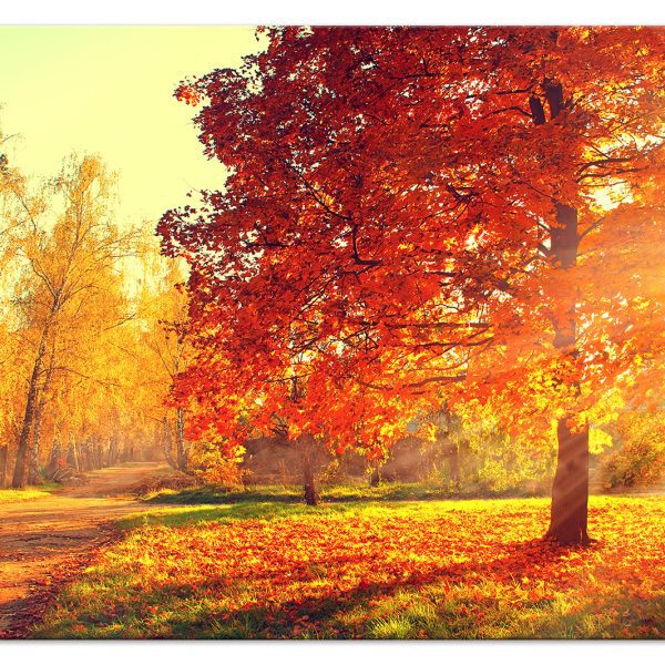 Obraz – Autumn Afternoon (1 Part) Wide Obraz – Autumn Afternoon (1 Part) Wide