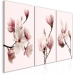 Obraz – Spring Magnolias (3 Parts) Obraz – Spring Magnolias (3 Parts)