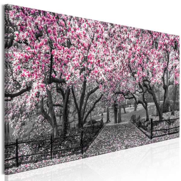 Obraz – Magnolia Park (3 Parts) Pink Obraz – Magnolia Park (3 Parts) Pink
