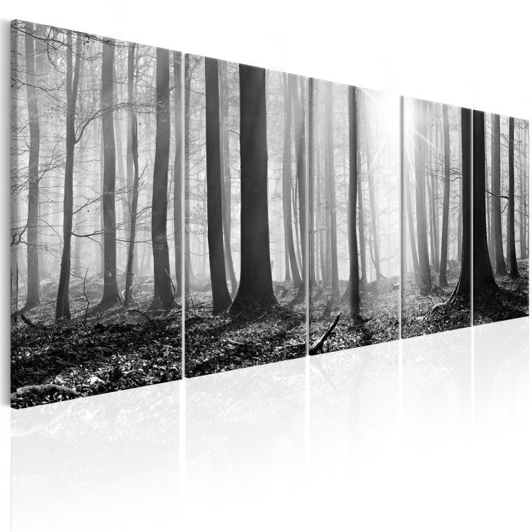 Obraz – Monochrome Forest Obraz – Monochrome Forest