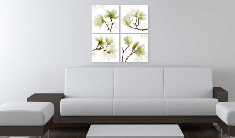 Obraz – Admiration of Magnolia Obraz – Admiration of Magnolia