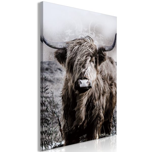 Obraz – Highland Cow in Sepia Obraz – Highland Cow in Sepia