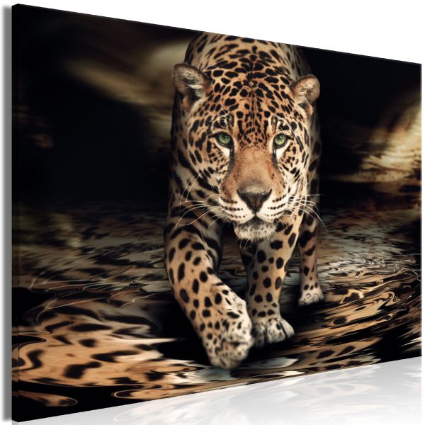 Obraz – Green-eyed leopard Obraz – Green-eyed leopard