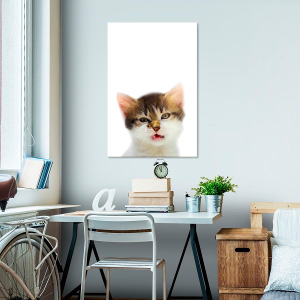 Obraz – Vexed Cat (1 Part) Vertical Obraz – Vexed Cat (1 Part) Vertical