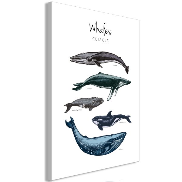 Obraz – Whales (1 Part) Vertical Obraz – Whales (1 Part) Vertical