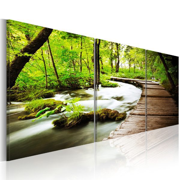 Obraz – Forest broadwalk – triptych Obraz – Forest broadwalk – triptych