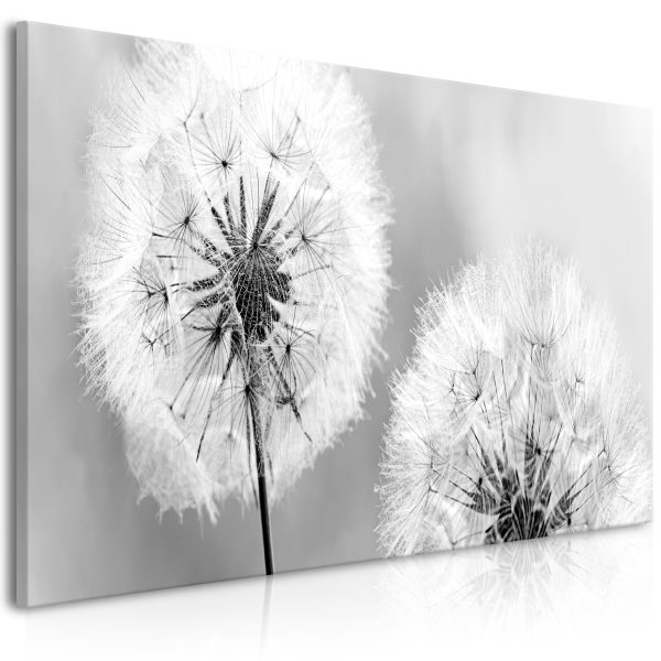 Obraz – Fluffy Dandelions (1 Part) Grey Wide Obraz – Fluffy Dandelions (1 Part) Grey Wide