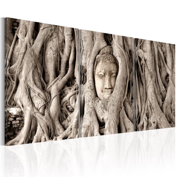 Obraz – Meditation’s Tree Obraz – Meditation’s Tree