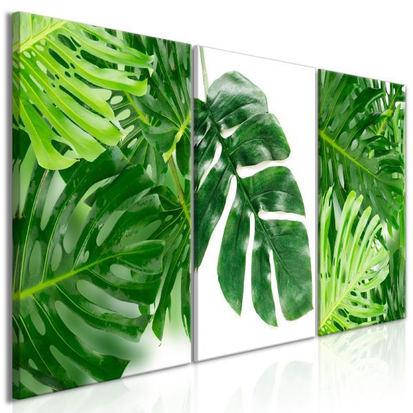 Obraz – Palm Leaf (1 Part) Wide Obraz – Palm Leaf (1 Part) Wide