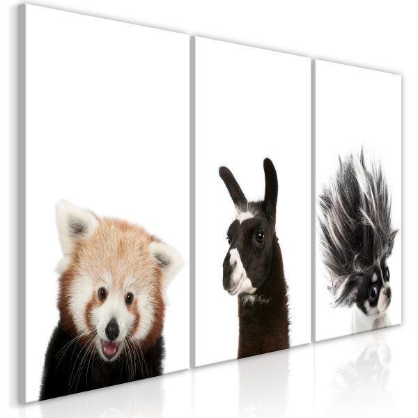 Obraz – Friendly Animals (5 Parts) Obraz – Friendly Animals (5 Parts)