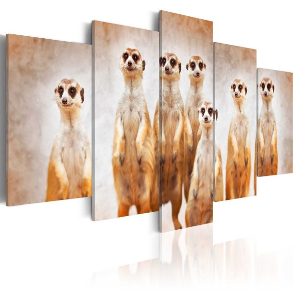 Obraz – Family of meerkats Obraz – Family of meerkats
