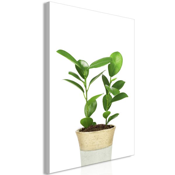 Obraz – Plant In Pot (1 Part) Vertical Obraz – Plant In Pot (1 Part) Vertical