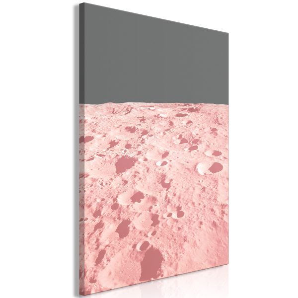 Obraz – Pink Mist Obraz – Pink Mist
