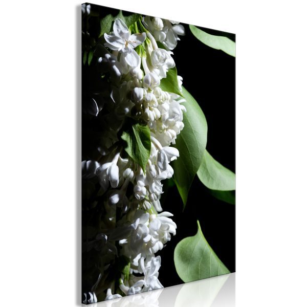 Obraz – Lilacs at Night (1 Part) Vertical Obraz – Lilacs at Night (1 Part) Vertical