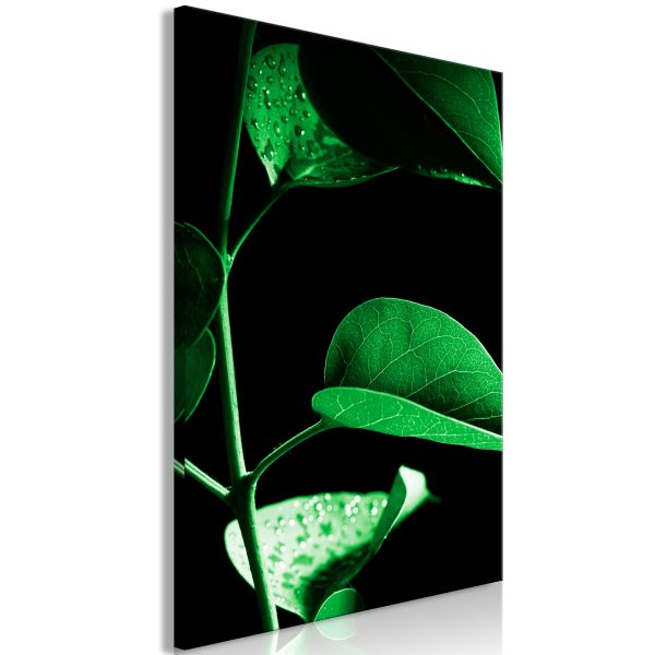 Obraz – Plant in Black (1 Part) Vertical Obraz – Plant in Black (1 Part) Vertical