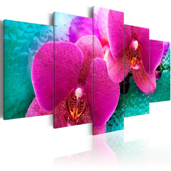 Obraz – Exotic orchids Obraz – Exotic orchids