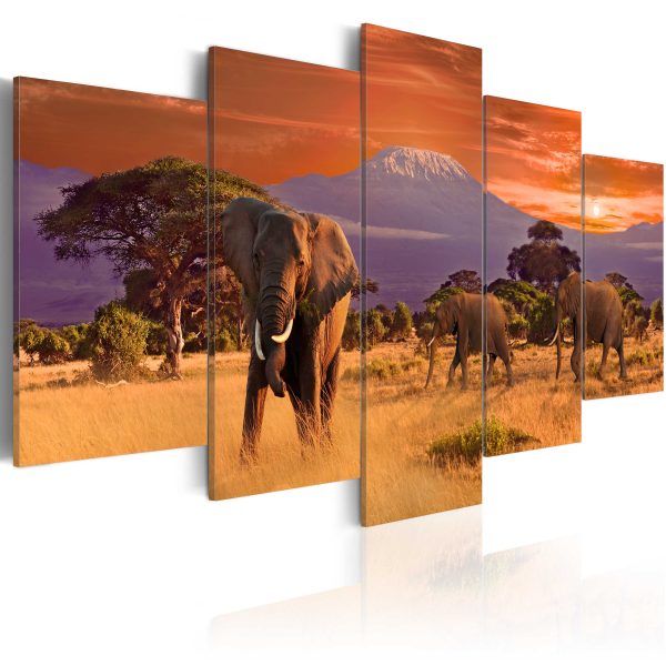 Obraz – Africa: Elephants Obraz – Africa: Elephants